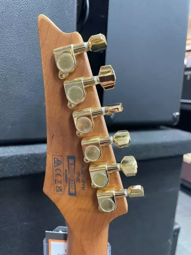 Ibanez - RG Blue Reef Gradiation RG421HPFMBRG 5